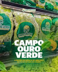 ERVAS FINAS 20G BEM ESTAR