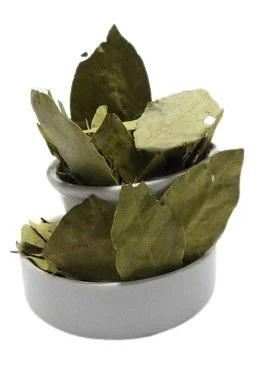 FOLHA LOURO BEM ESTAR 10G