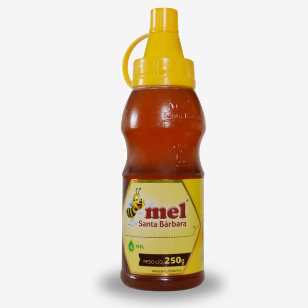 MEL BISNAGA SILVESTRE 250G SANTA BARBARA