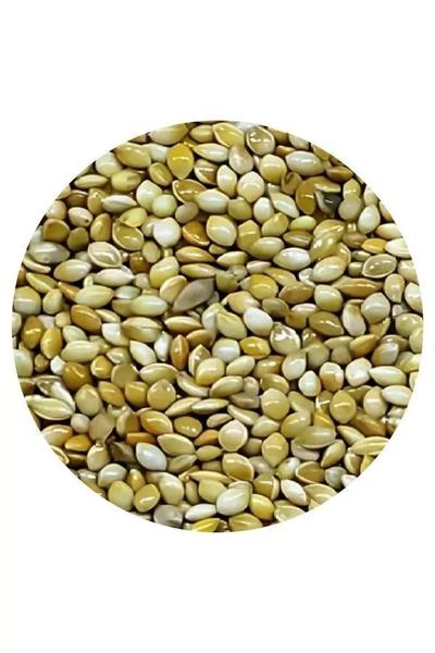 PAINCO COMUM PCT 500G FOSFATEC