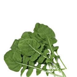 RUCULA CAMPO OURO VERD UND