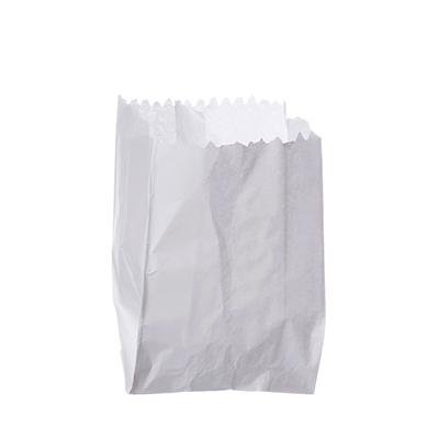 SACO VIAGEM II BCO MONO 40X22 M E M