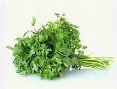 SALSA LISA CAMPO OURO VERD UND