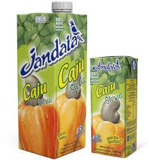 SUCO JANDAIA PRONTO 1LT CAJU