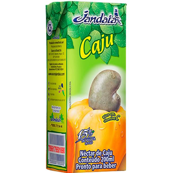 SUCO JANDAIA PRONTO 200ML CAJU