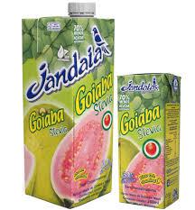 SUCO JANDAIA PRONTO 200ML GOIABA