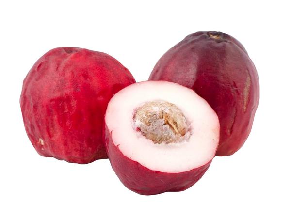 JAMBO KG