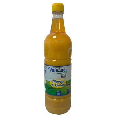 MANTEIGA DE GARRAFA VALELAC PET 900GR