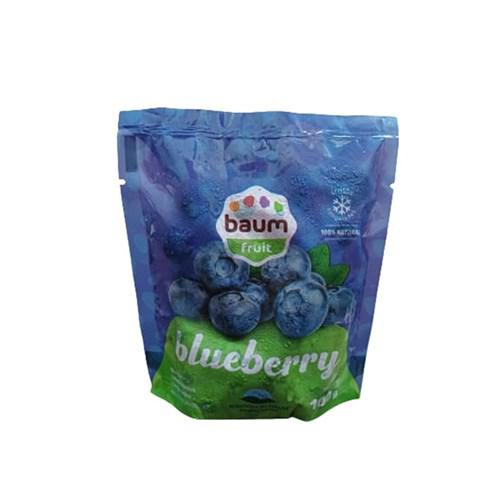 POLPA CONG. BAUM FRUIT 100G BLUEBERRY