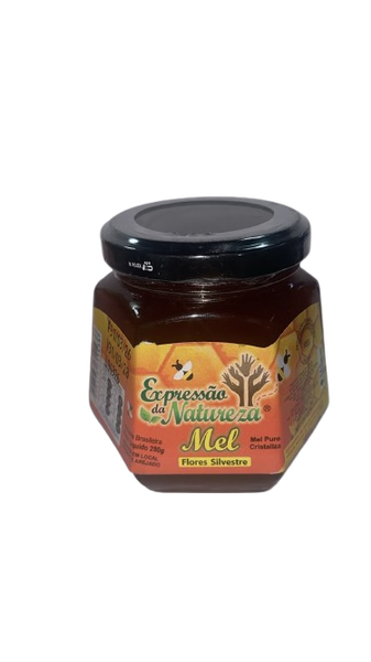 MEL EXPRESSAO DA NATUREZA  VIDRO 280G