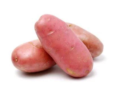 BATATA ASTERIX ROXA