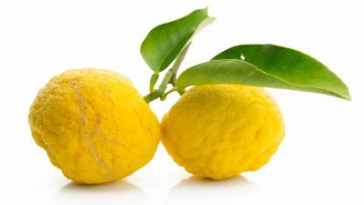 .CIDRA FRUTA