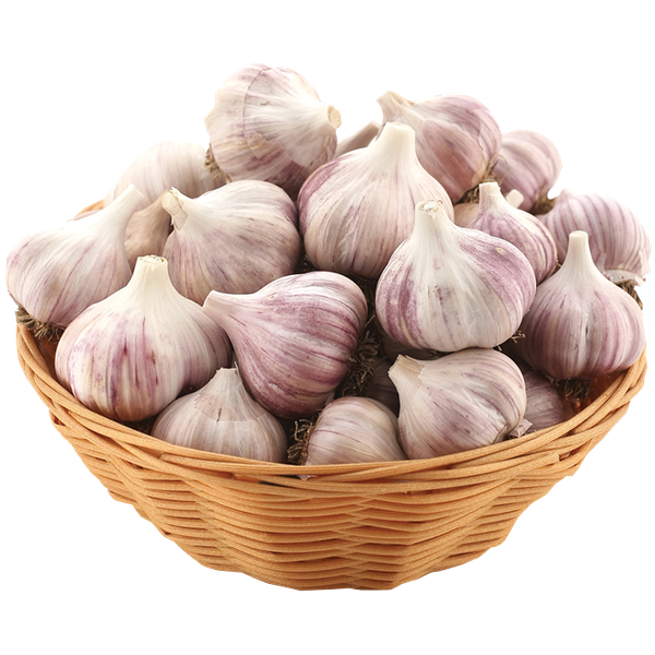 Alho Kg