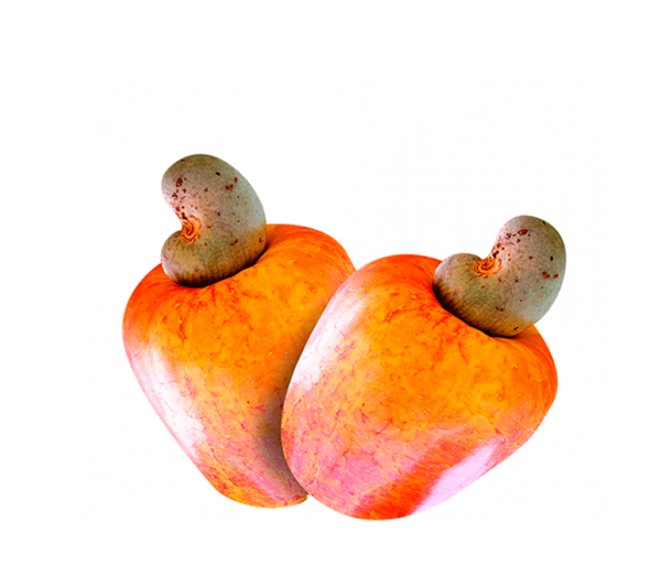 Caju Kg