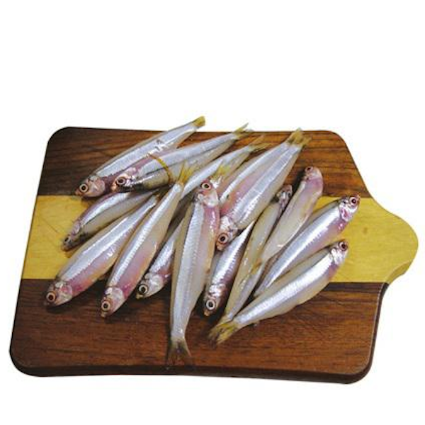 Peixe Manjuba Kg