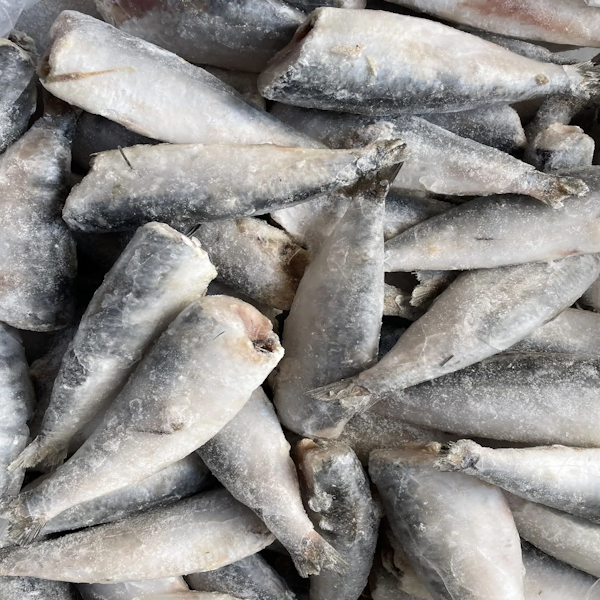 Peixe Sardinha Eviscerado Kg