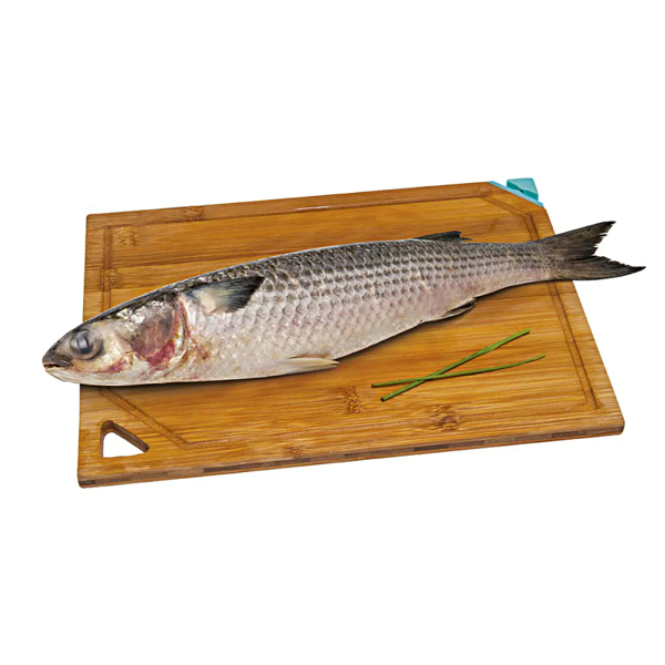Peixe Tainha  Kg