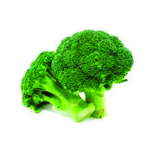 BROCOLIS KG